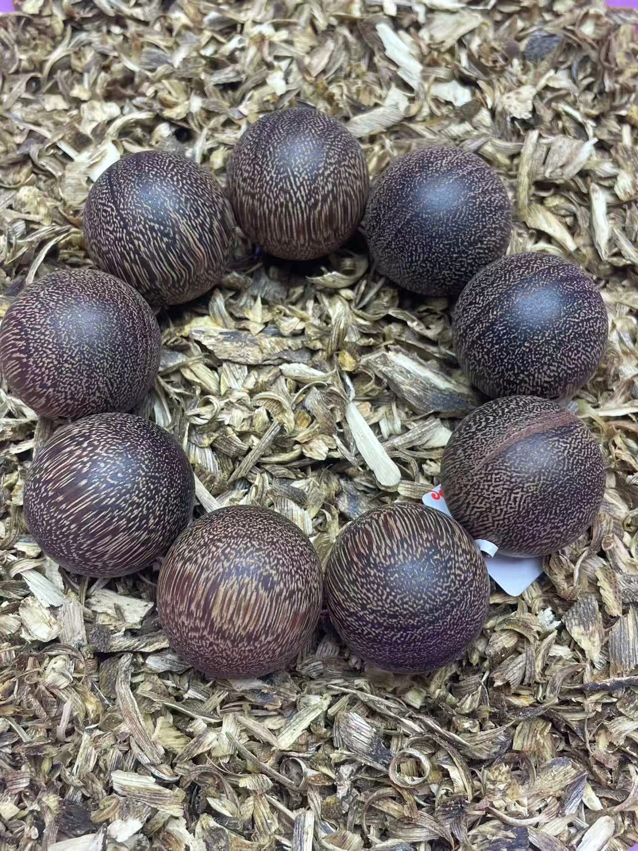 沉香沉香忠良堂文玩A112