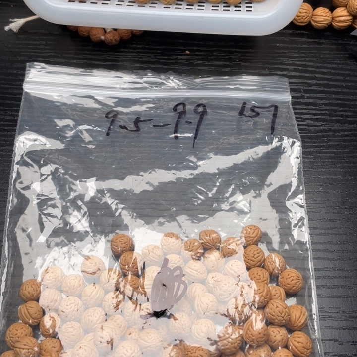 慎***）私人定制不退不换520