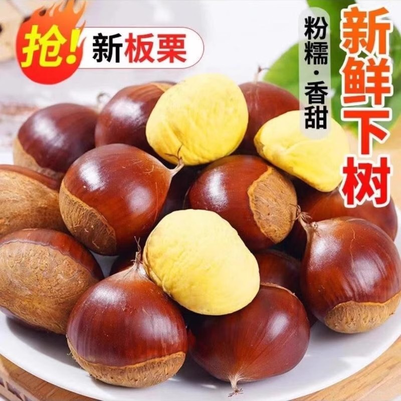 【香!糯!甜】新鲜板栗生栗子当季现摘油栗去刺壳粉糯板栗蔬菜包邮