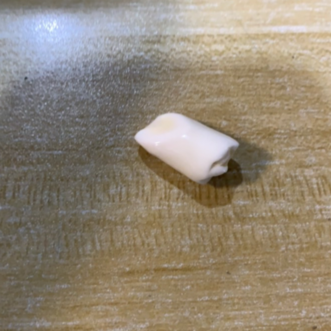 猛犸虬手把件 TT267