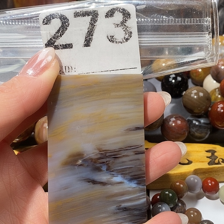 硅化玉未镶嵌天然北票树化玉吊坠