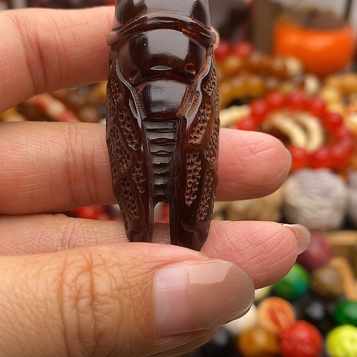 大果紫檀（缅甸花梨）