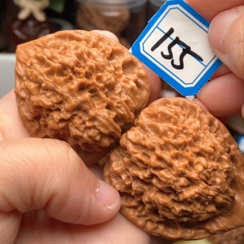 文玩核桃吊坠官帽46精修