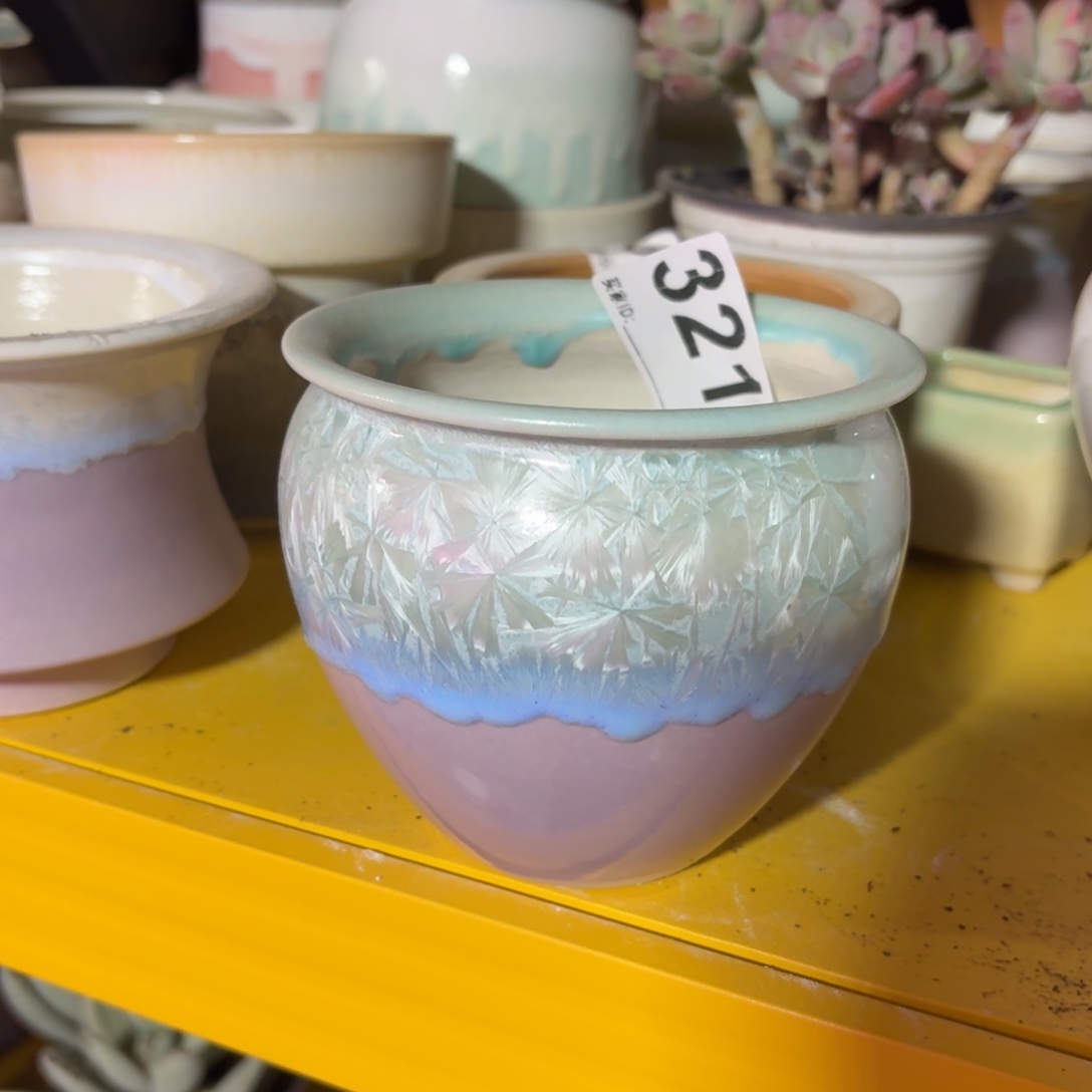 月***业景德镇多肉花盆321