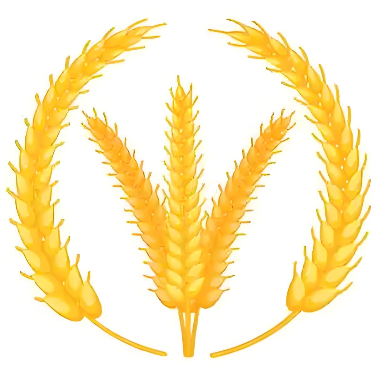 平安石精品奇石摆件不包邮仅供直播间参拍使用