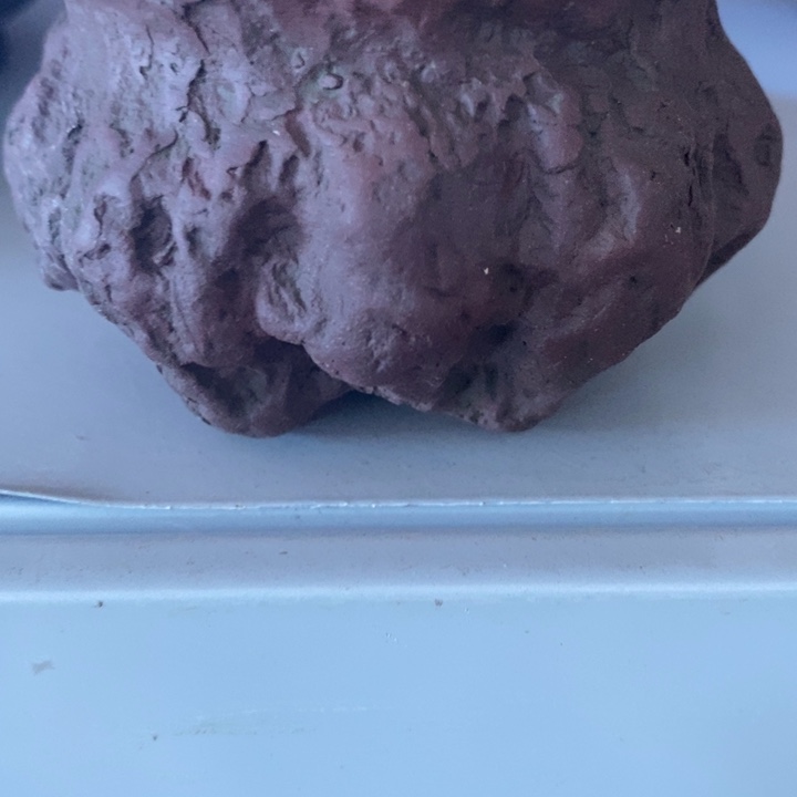 紫砂茶杯福利来了