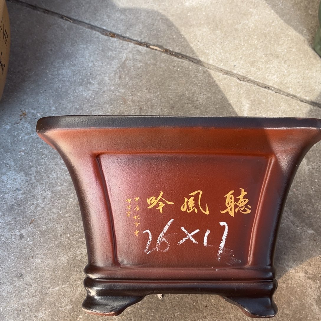 花盆紫砂盆景艺术