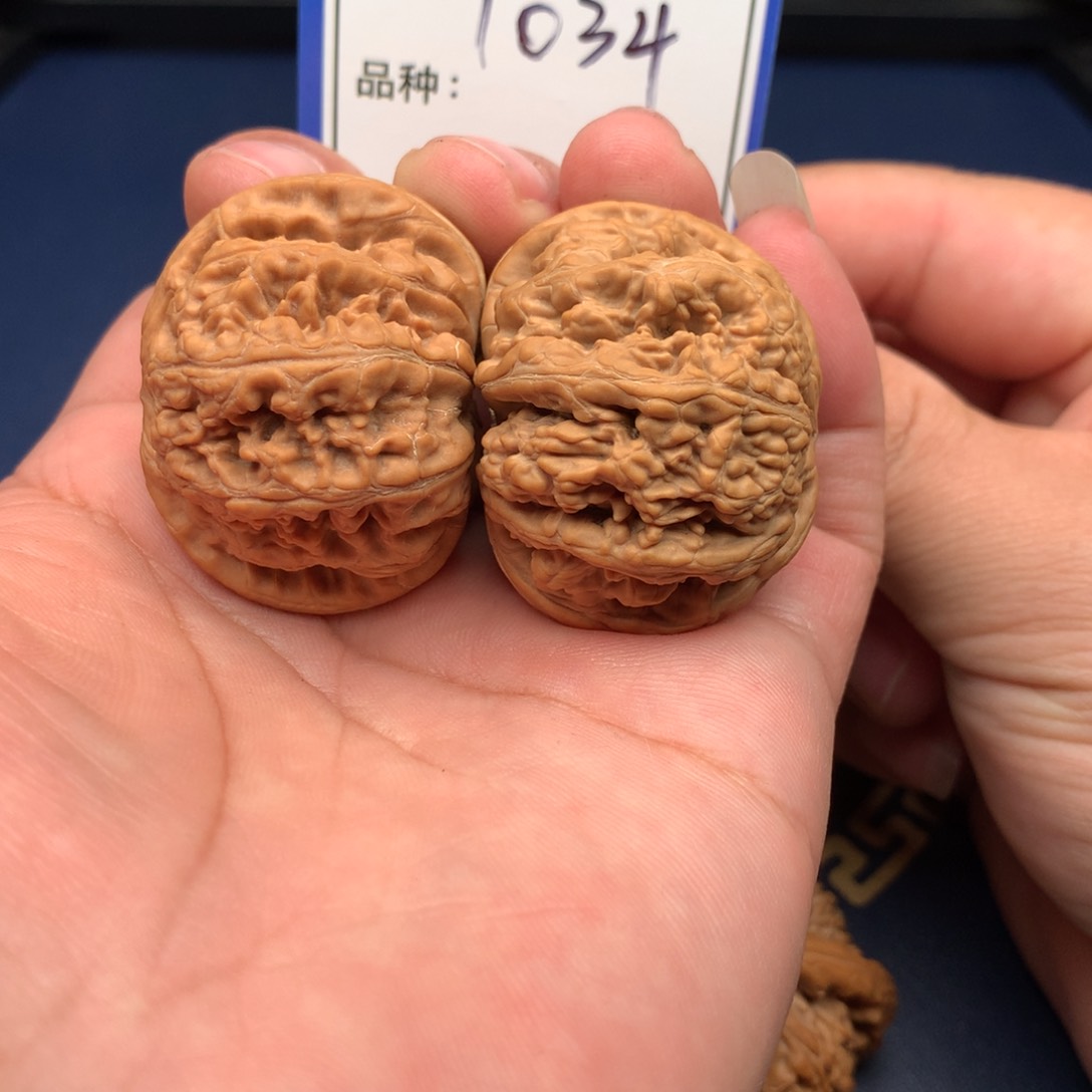 文玩核桃把件42粗筋034