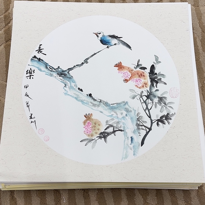 国画花鸟等多种鸟类的栖息地和栖息