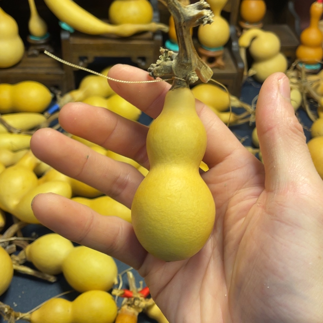 用***0大叶紫檀（黑酸枝木类）