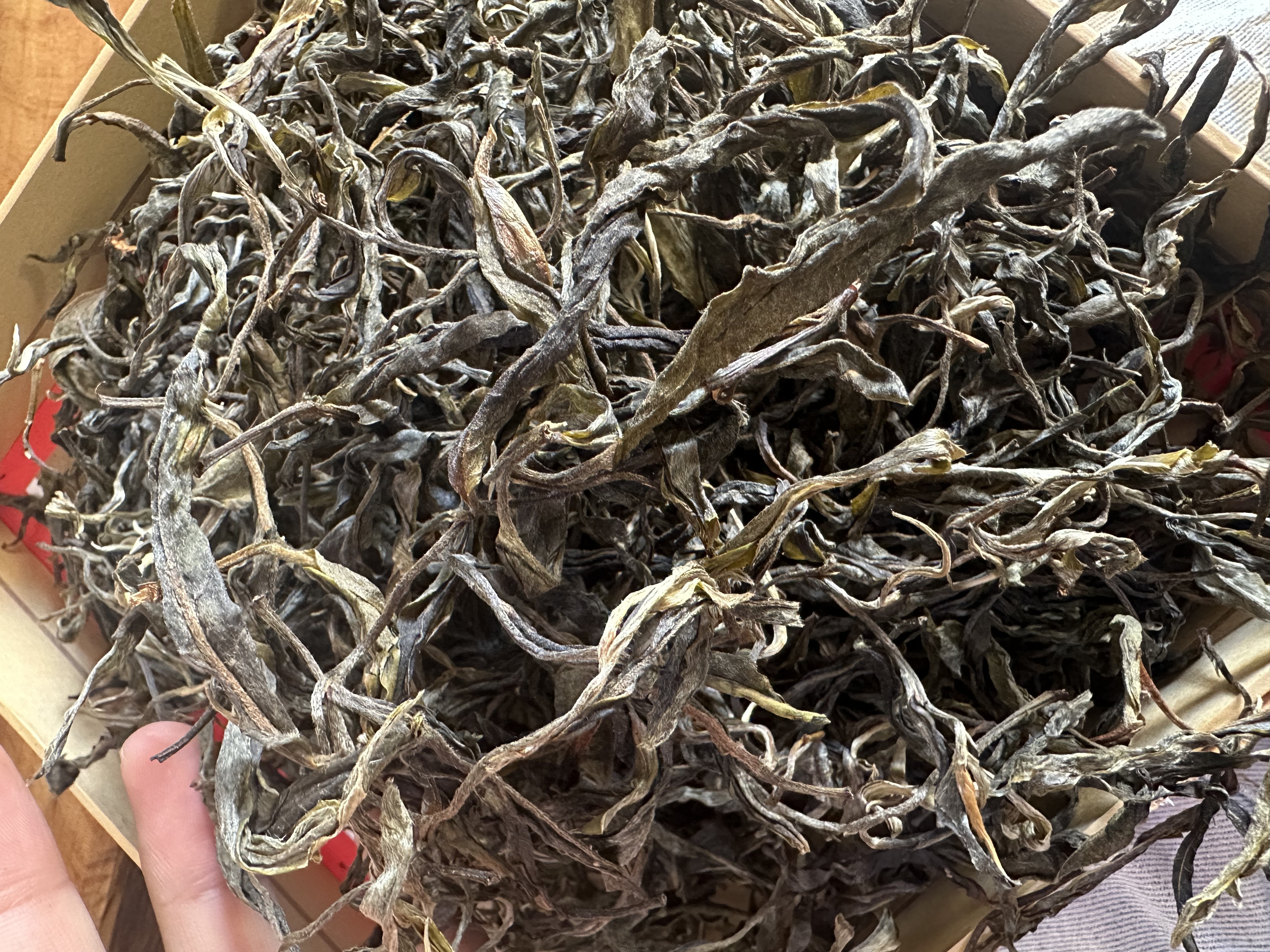 【花姐】老乌山古树单株生茶2023【251213】001-2