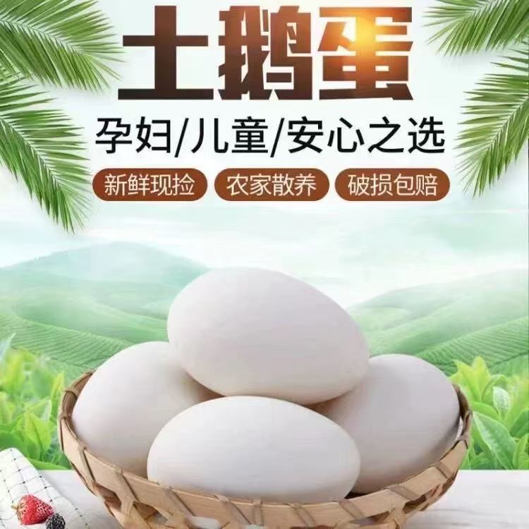 《现捡现发 后边农商》农家新鲜双黄土鹅蛋一箱12个单个新鲜大鹅蛋
