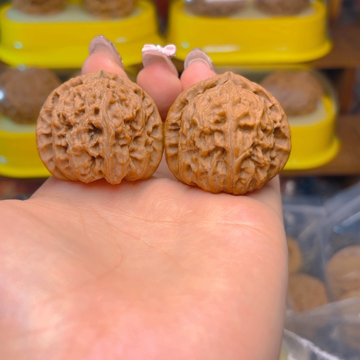 白狮子头三十七尺