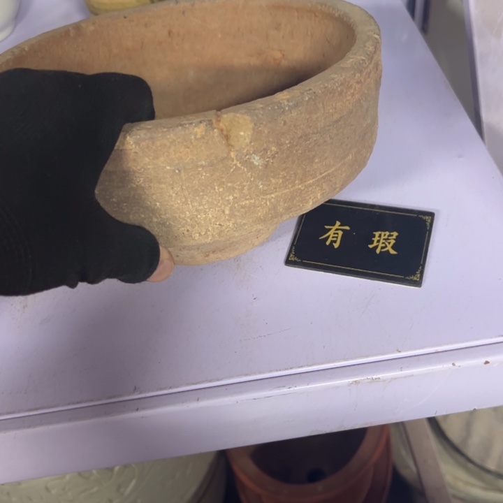 色***彩瓷片拾六家的瓷器瓷器