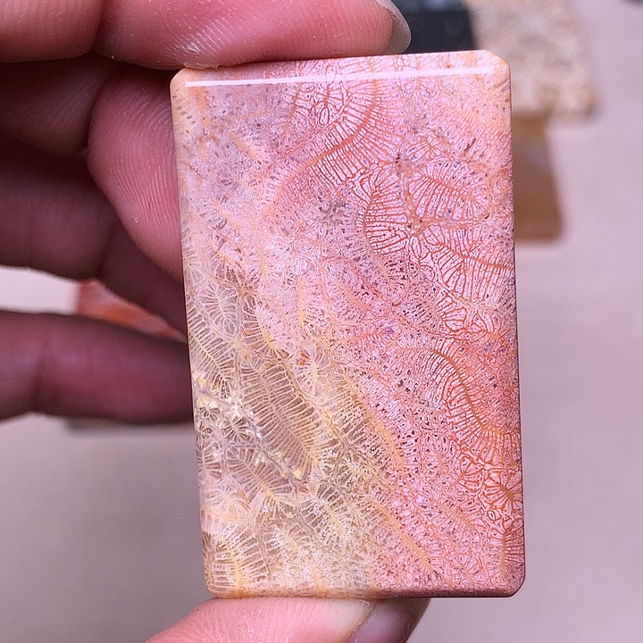 s***。硅化玉合金珊瑚玉