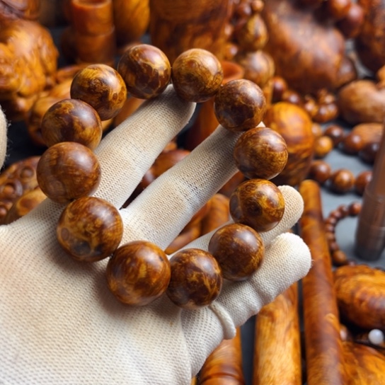 松木（琥珀木）其他