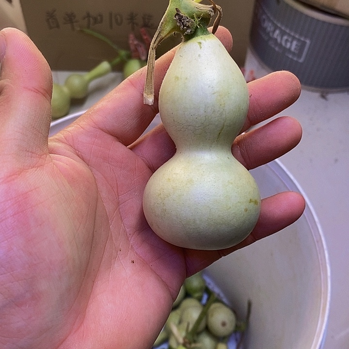 迷**活长嘴哈哈哈哈哈哈哈哈哈哈哈