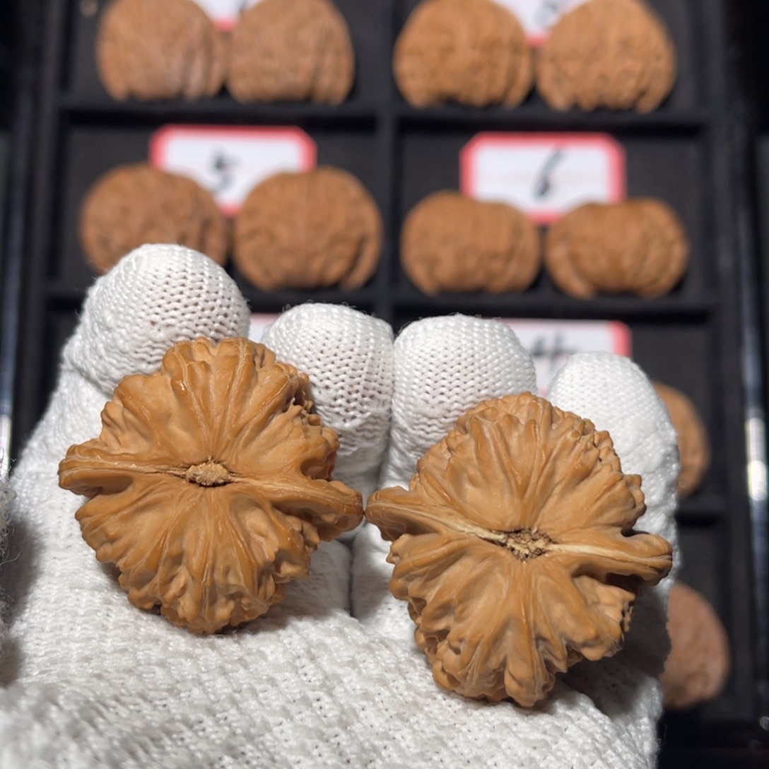 一***一吊坠文玩核桃03秦皇岛山地果全品