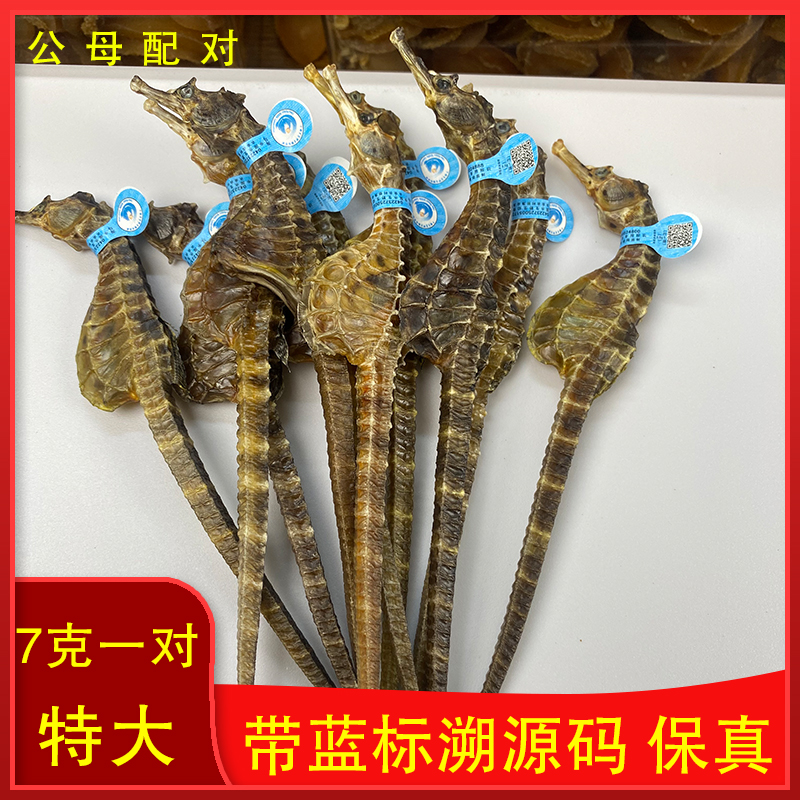 【带溯源码正品】7克1对 保真公母搭配 足干海干货马馬适合煲汤泡酒