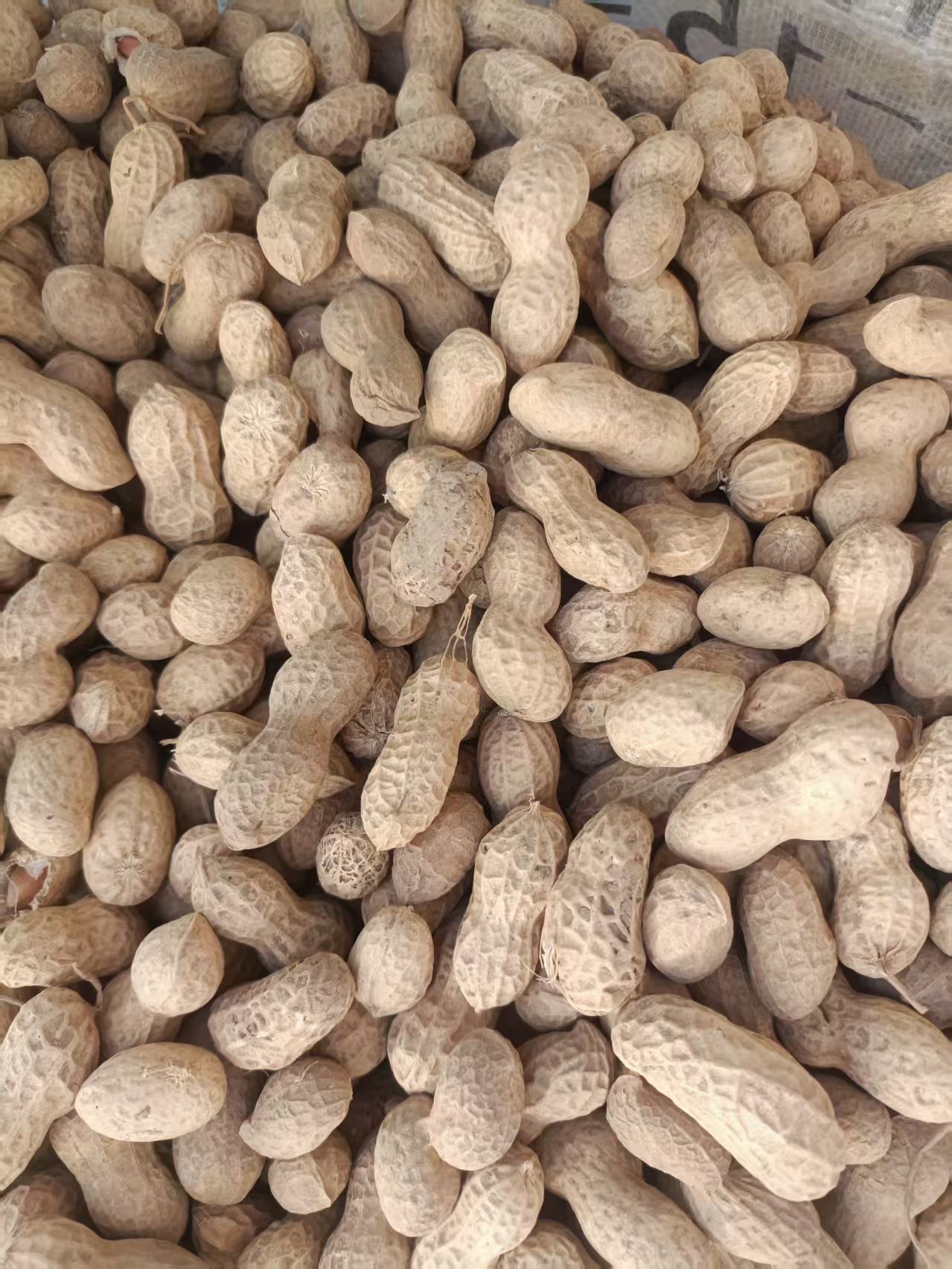 【干花生】农家花生晒干