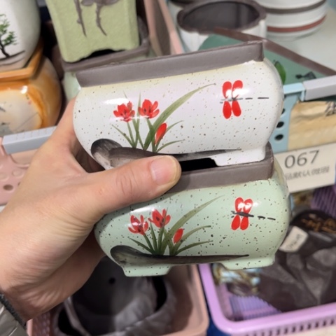 2［所有订单凑满15明天发］10×6