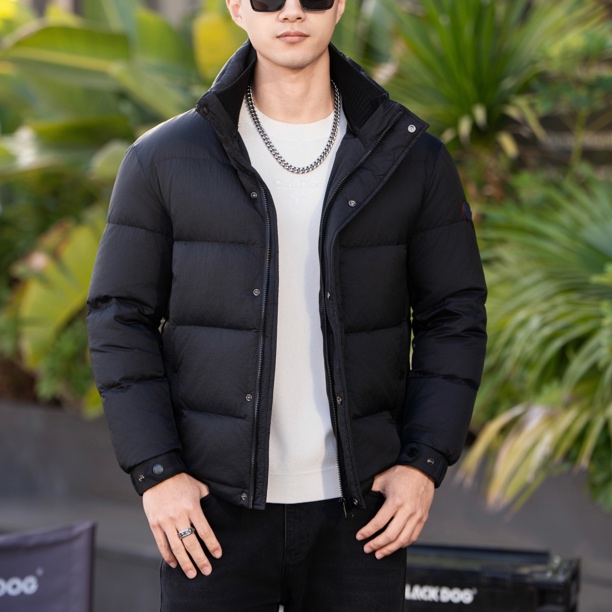 25新国标男士哑光黑简约袖标高端立领羽绒服外套7003