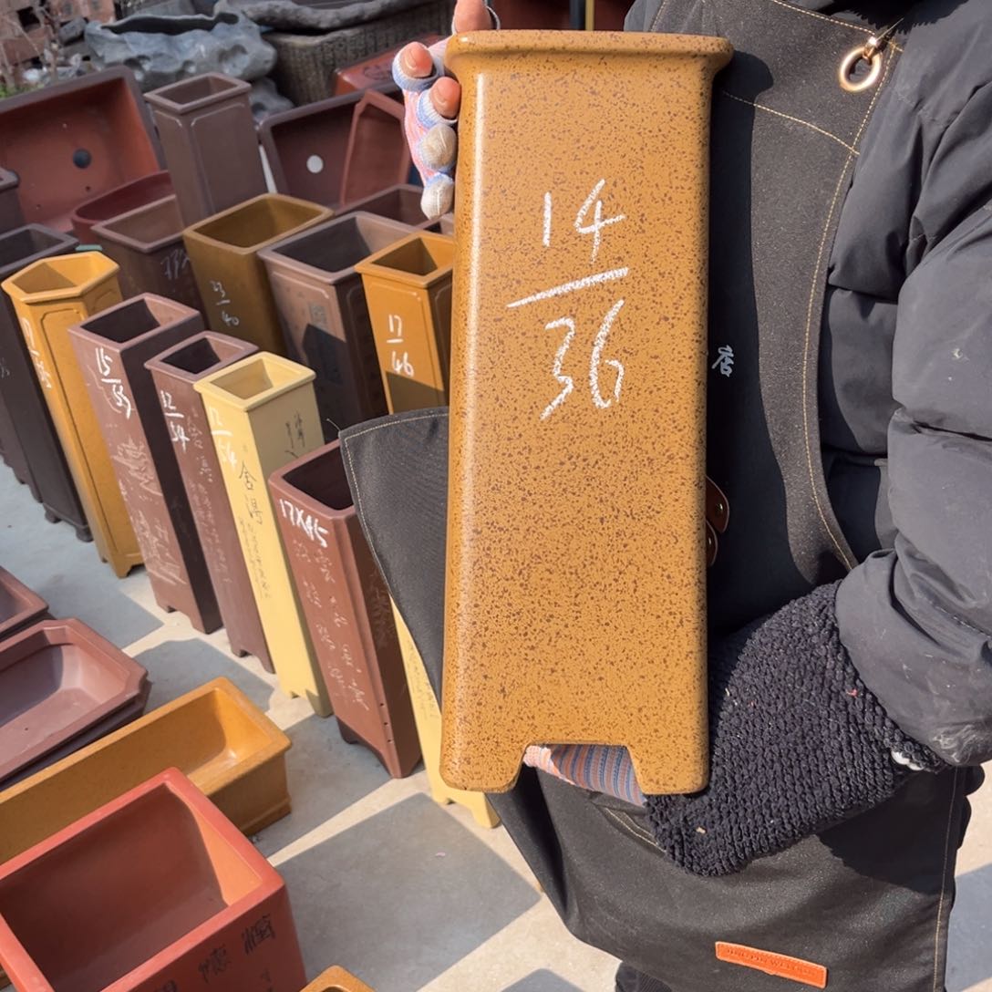 紫砂花盆盆景艺术