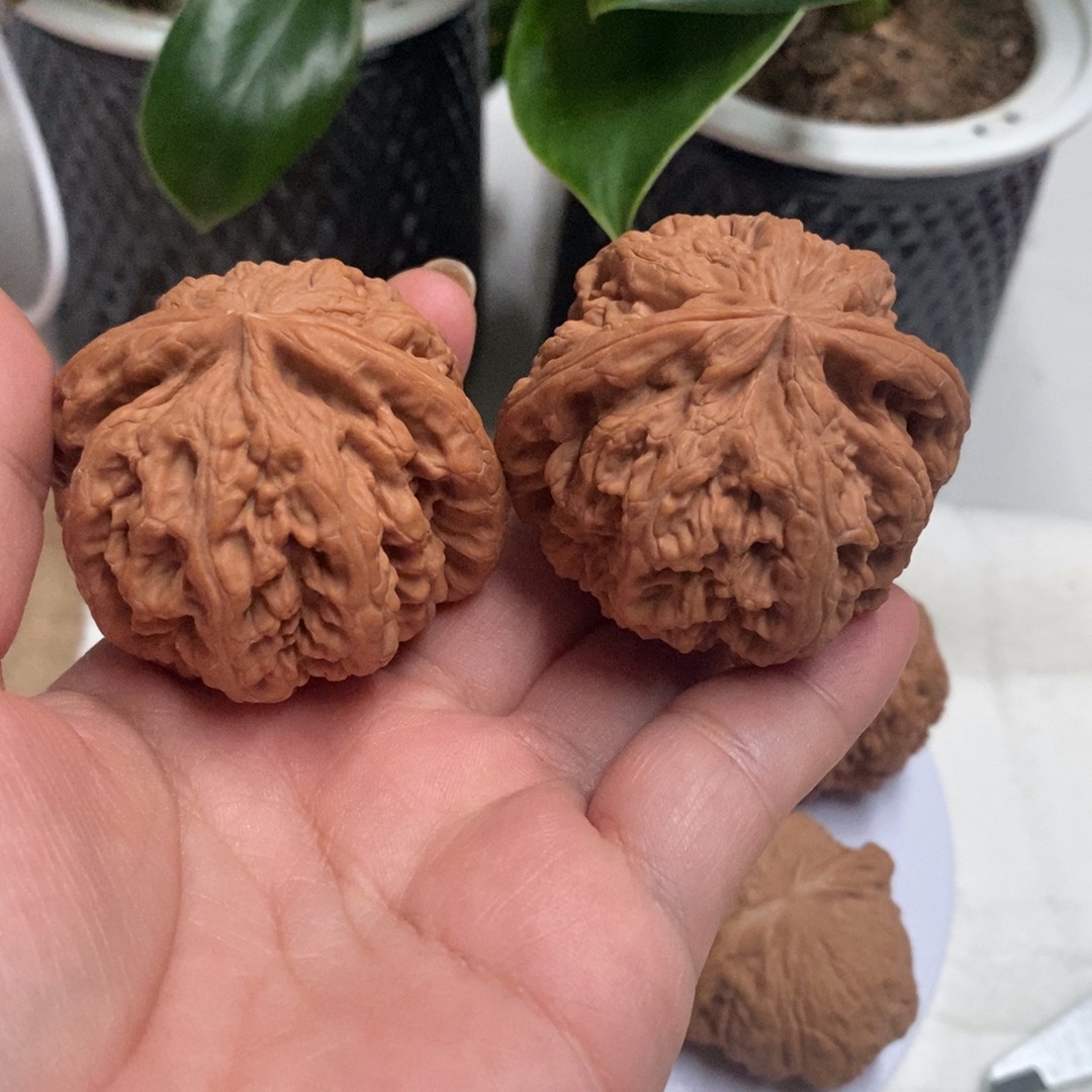 迷***糊木质精对粗筋—————-