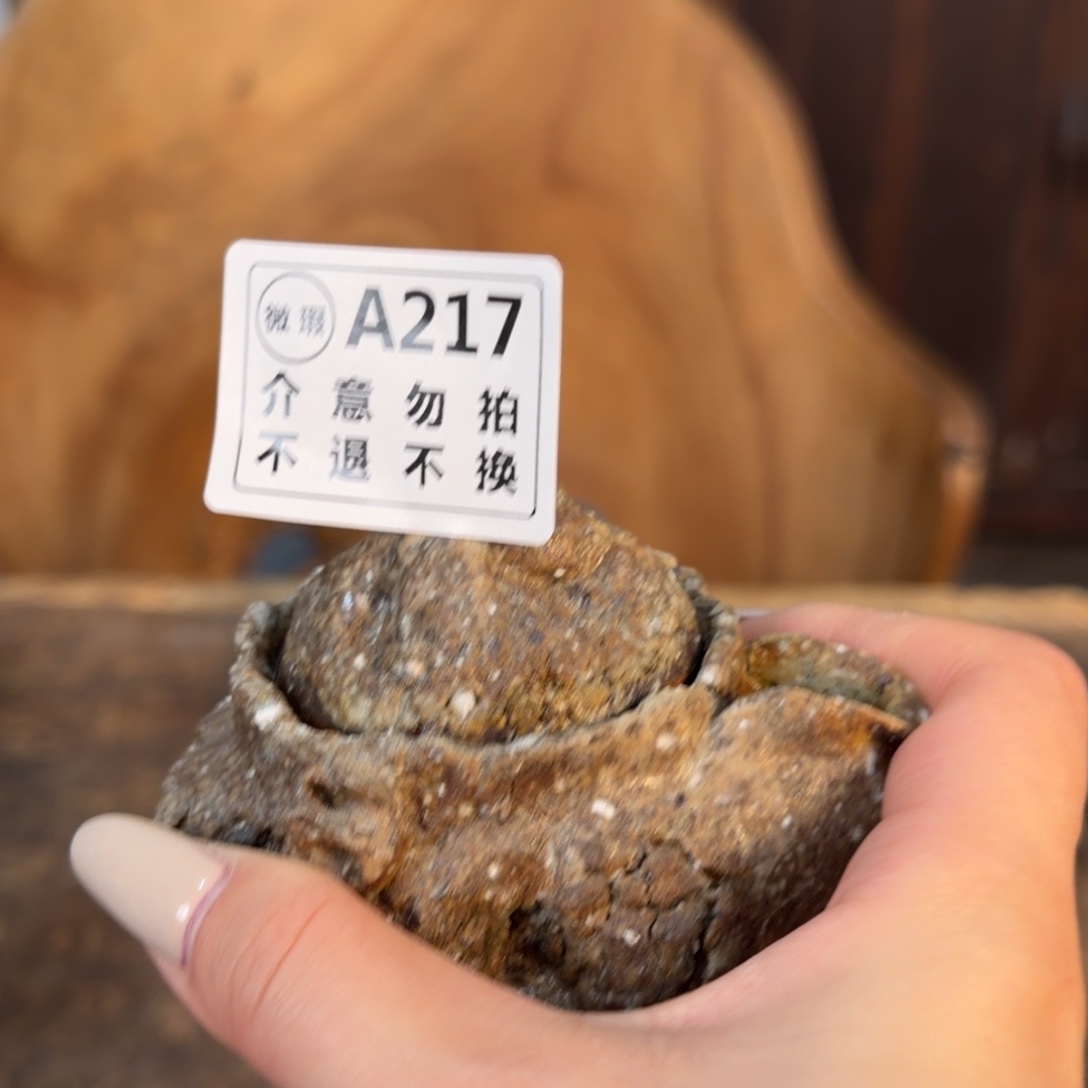 壶壶一一一一一一一