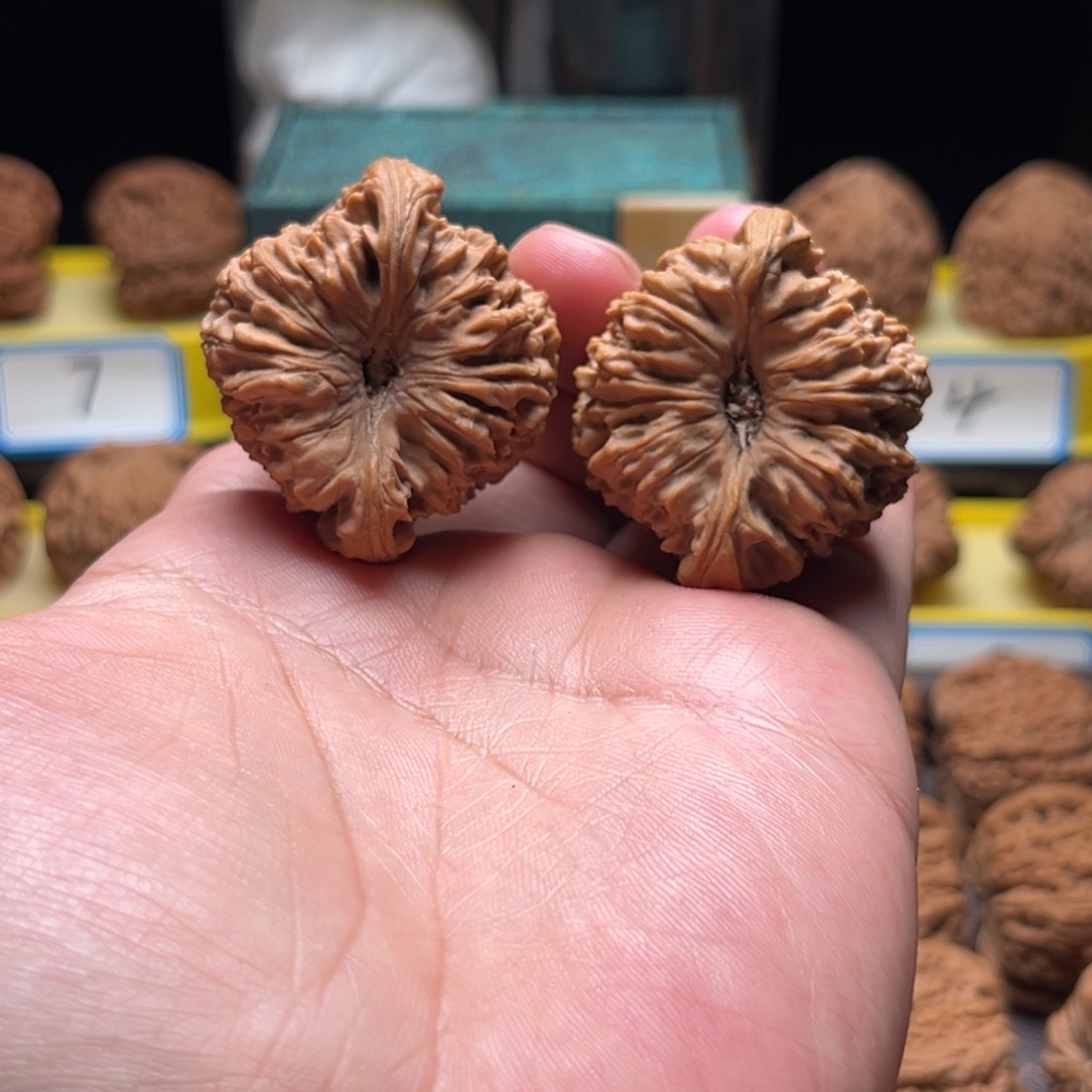 把件文玩核桃鸣***逐鹿凹底