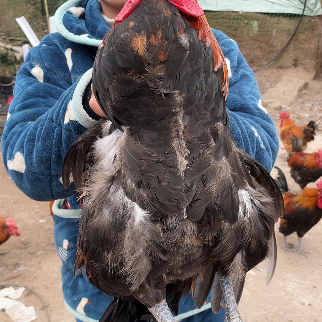 211111111中国大陆包装260-259货