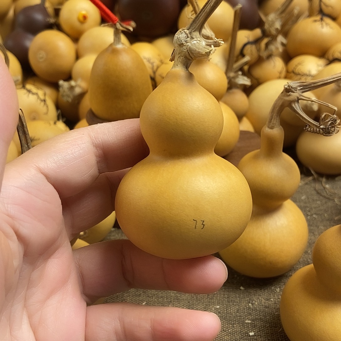 文玩葫芦 完美主义者 慎拍73