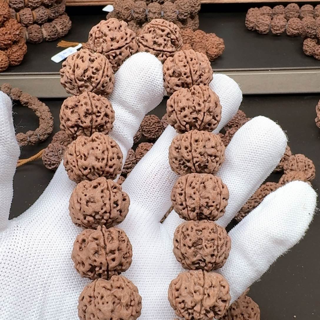 金刚菩提手串21+狂飙安娜