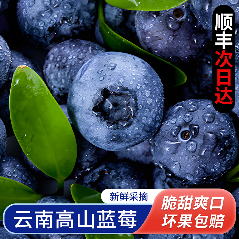 S1【顺丰次日达】云南高山脆甜蓝莓鲜果新鲜水果当季整箱怡颗蓝莓云南省