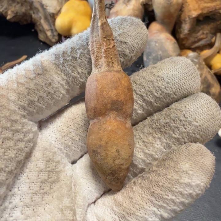 二***哥6666666666777777777778