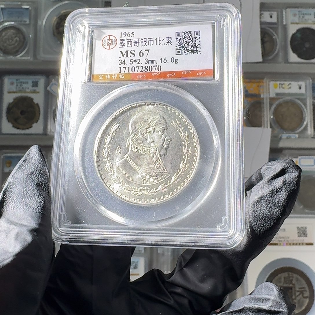 ****魔大叶紫檀（黑酸枝木类）67 人头鹰一个 小师妹MM