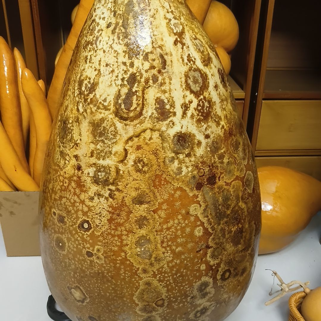 先***人一把花皮冬瓜葫芦你好啊老板