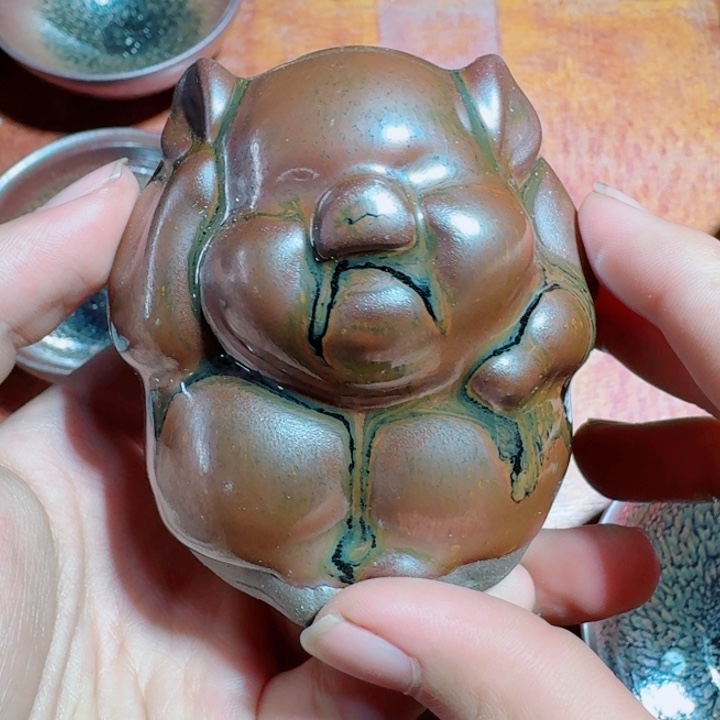 茶盏提出解决农村留守学生入学