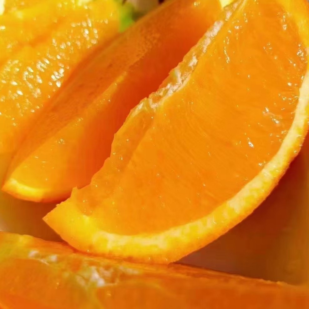 纽荷尔甜橙～净重10斤