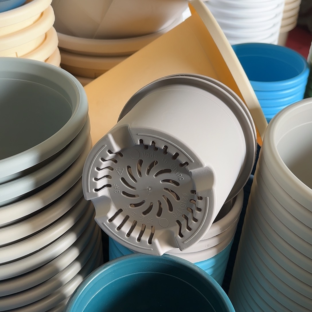 树脂四季3号无托10个灰白微瑕