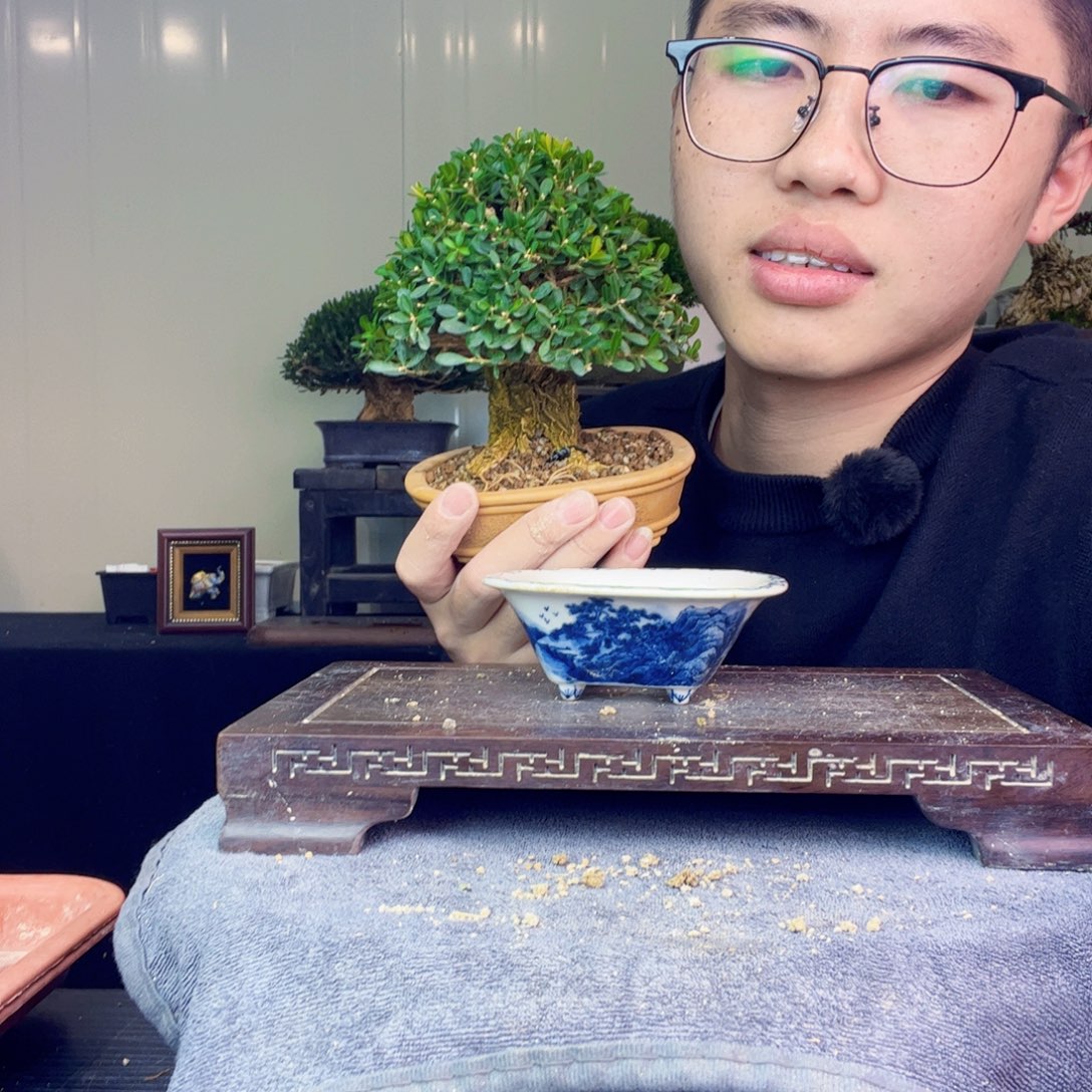 太***阳1111111111111111