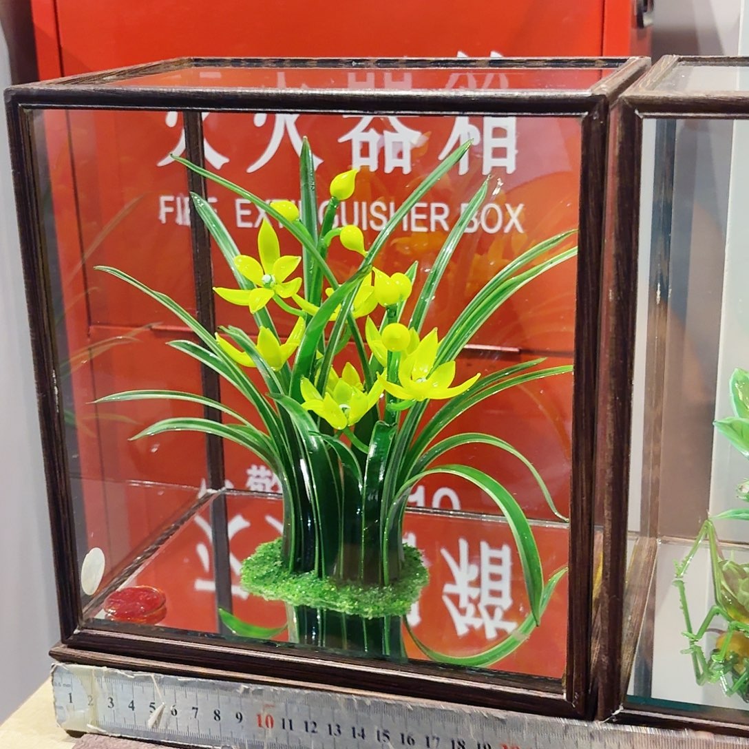 茶宠琉璃岛之光啊好