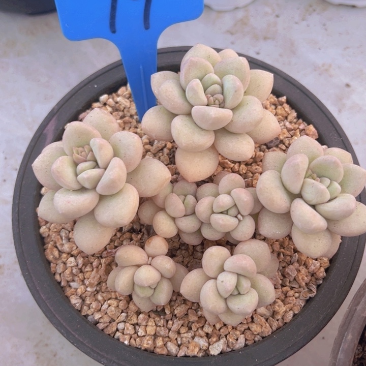 健健康康平平安安