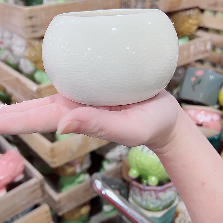 有孔，凑单福利满10元发货陶瓷多肉花盆！