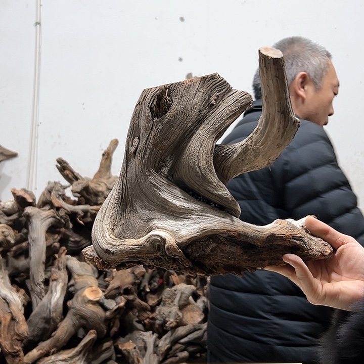 柏木拙*我们的生活也是如此