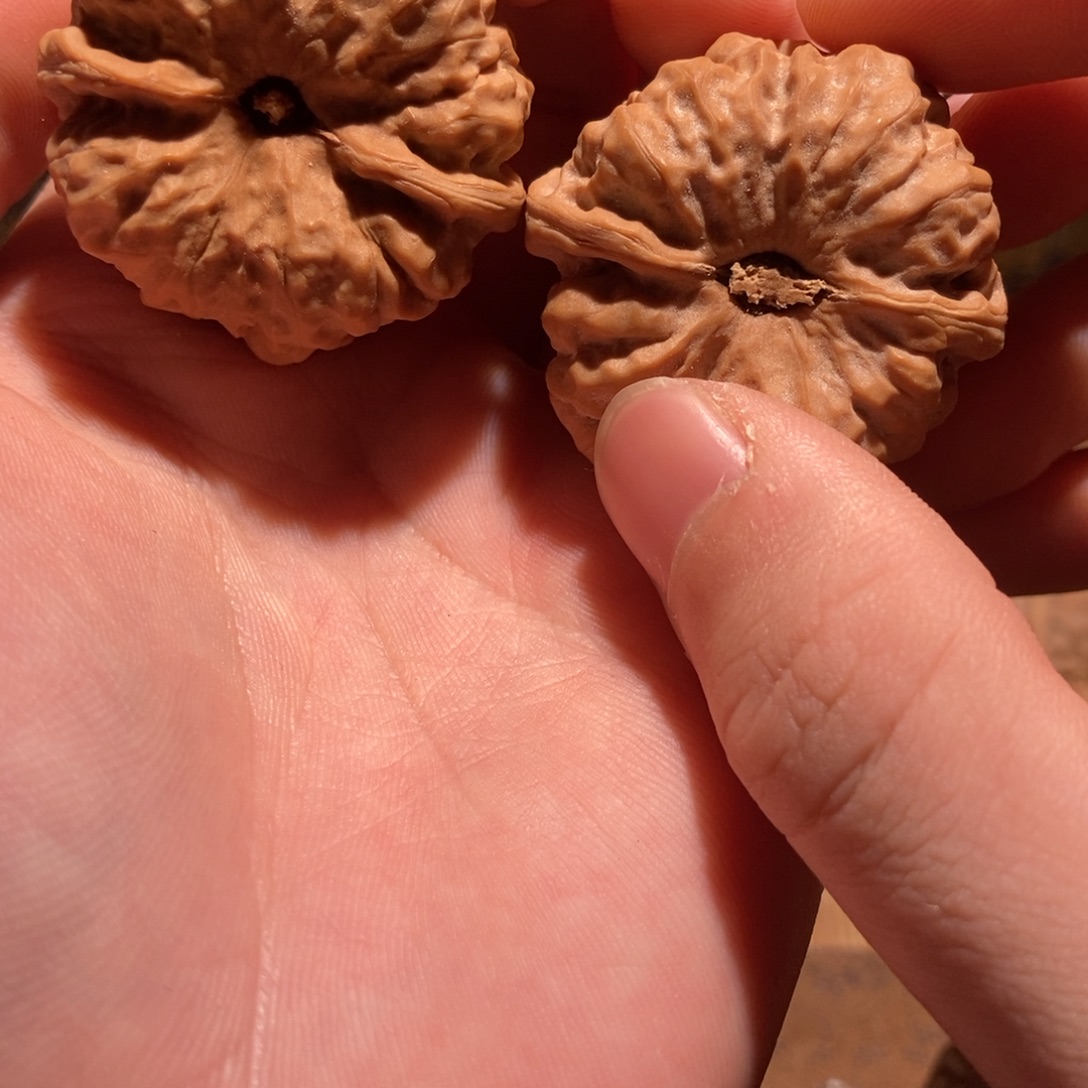 小****吊坠文玩核桃蛤蟆头D24