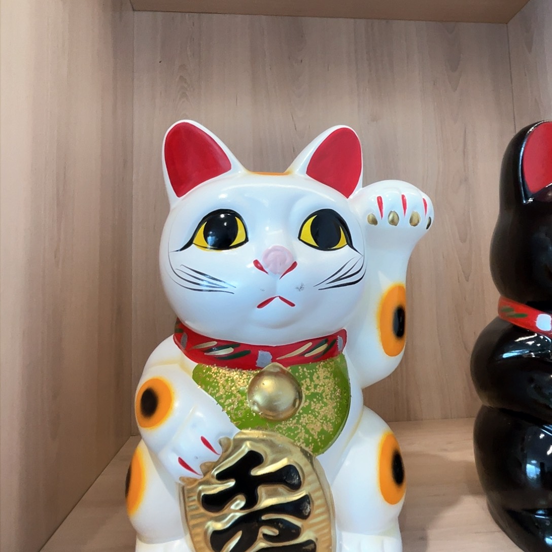 杯欢迎各位前来选购