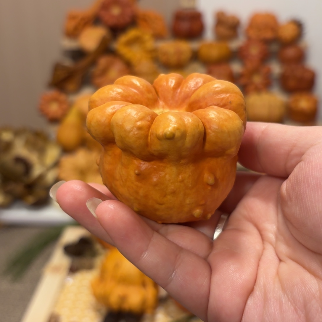 墨西哥葫芦钱袋子