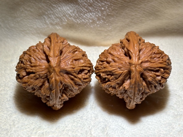 41全品涿鹿高炮南江石