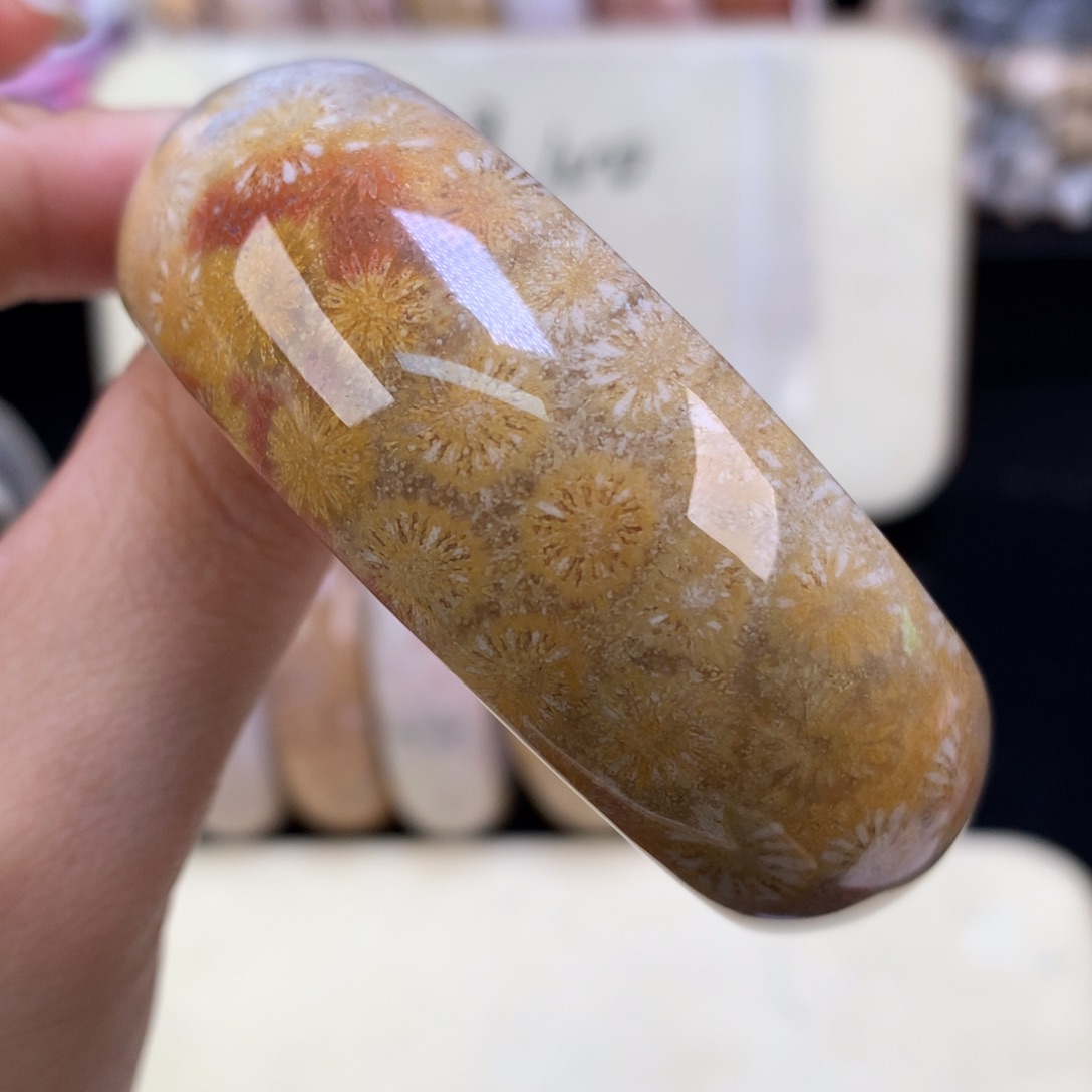 硅化珊瑚（珊瑚玉）未镶嵌吊坠(赠链)（18号）五折赞比52.4圈